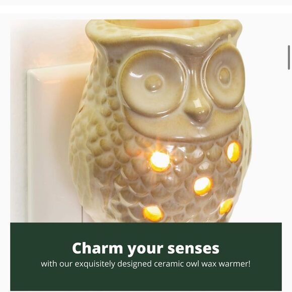Wax Warmer Owl Plug In Scented Home Fragrance Essential Oils Melts Night Light - Picture 7 of 7